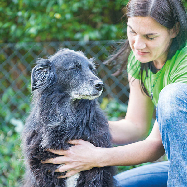 Cranio Sacral Hunde Carina Plöchl