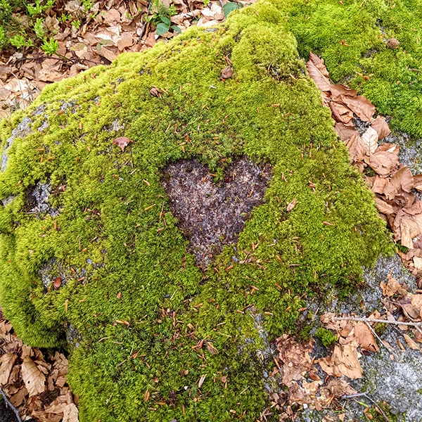 Harmonie für Körper, Geist und Seele Carina Plöchl